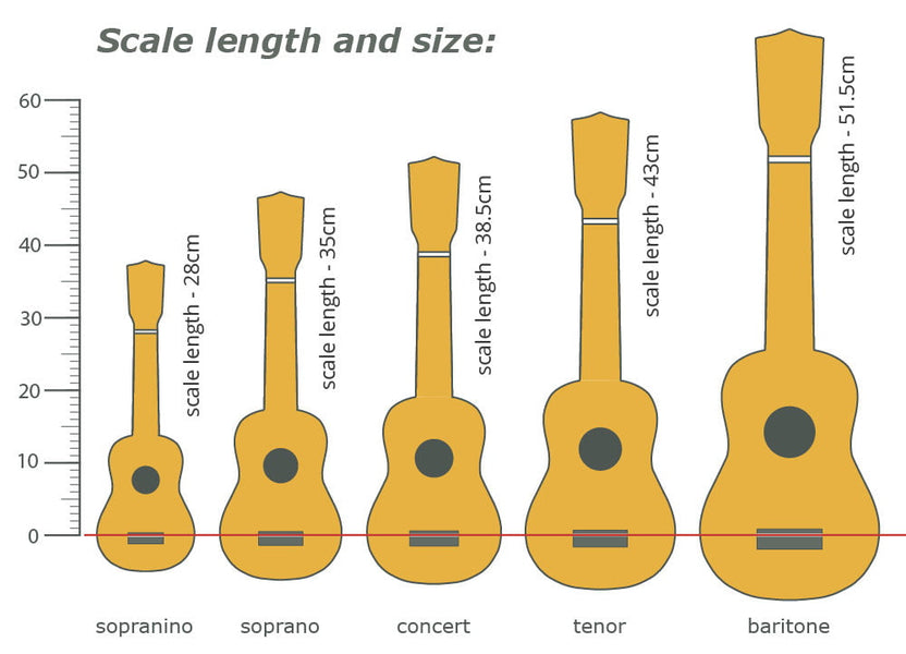 The Baritone Ukulele: A Deep Dive into the Biggest Uke
